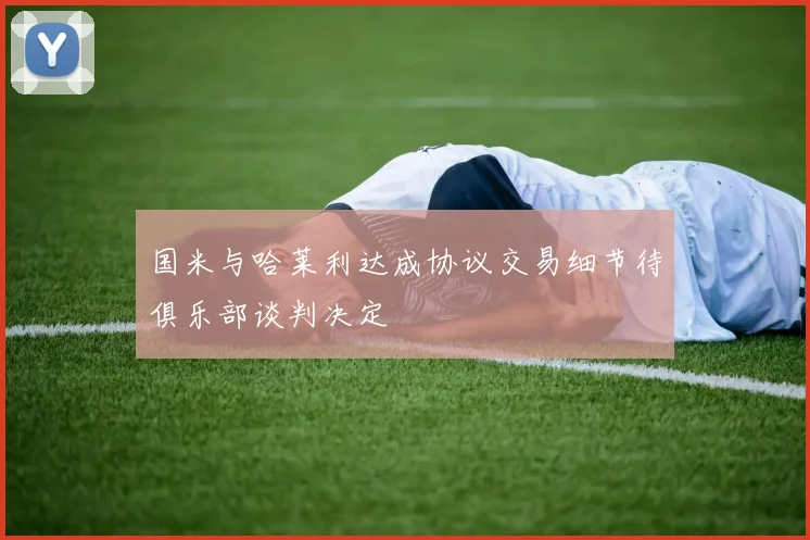 国米与哈莱利达成协议交易细节待俱乐部谈判决定