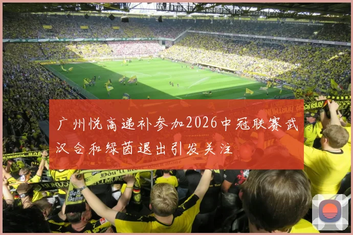 广州悦高递补参加2026中冠联赛武汉合和绿茵退出引发关注